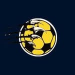 Club Futsal at the University of Michigan